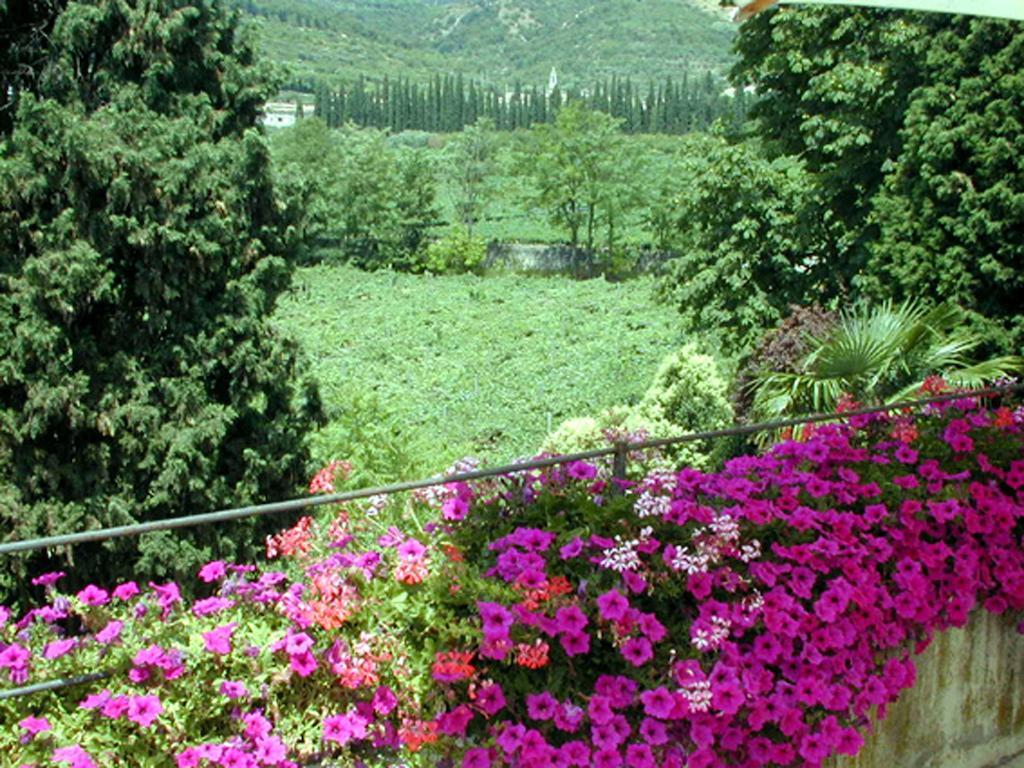 B&B Villa Monteleone 산탐브로지오 디 발폴리첼라 외부 사진